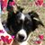 Elaine Wood's profile image