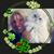 Robin Baker's profile image