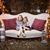 Shannon Wilbur's profile image
