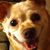 KW Lynde's profile image