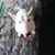 Alexis Alardin's profile image