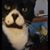 Scott Sills's profile image