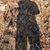 Jeremy Kohal's profile image