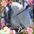 Connie Davis's profile image