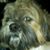Laura Day Schild's profile image