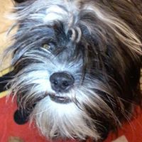 Jefferson Akly's profile image