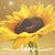 Linda Graves's profile image