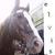 debbie r.'s profile image