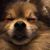 April Moore's profile image