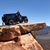Cheri Nelson's profile image