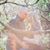 Crissy Grandlic's profile image