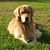 Sandy Stanley's profile image