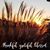 Cathy Revello Scipione's profile image