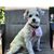 Wendy Morton Warren's profile image