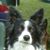 Julie R Robinson's profile image