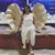 Mariadelmar Batista's profile image
