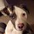 Cindy Burtt's profile image