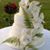 Herval Neto Chef's profile image