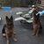 Pamela J. Dunn's profile image
