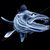 Peter J Gaglio's profile image