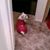 Laurene Bolander's profile image