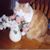 Jacqueline Kurz-Dunn's profile image