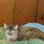 Darlene Wilson's profile image