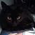 Anna Marie Schafer's profile image