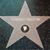 Starrzz Houston's profile image