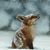 Lori Kegley's profile image