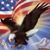 David Page's profile image