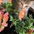 Judy Bevier's profile image