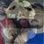 Bo Wegner's profile image