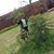 Neeraj Kumar's profile image