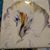 Leslie Qua Sheldon's profile image