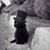 Kevin Croitz's profile image
