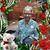 Shelley Graham's profile image