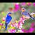 Judith Trowbridge Schlicker's profile image