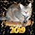 Debi Shoepe's profile image