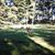 Tammy Jurek's profile image