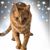 Mary Christenson's profile image