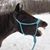 Wendy Johnson Szech's profile image