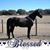 Wendie Roeper's profile image