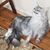 John OLeary's profile image