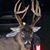 Kyle Littleton's profile image