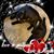Denise Cantrell's profile image