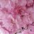 Thaliea Faustini's profile image