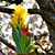 Amy Starkenburg-Pike's profile image