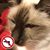Pam Mallory's profile image