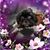 Michele Colleen Sporre-Doss's profile image